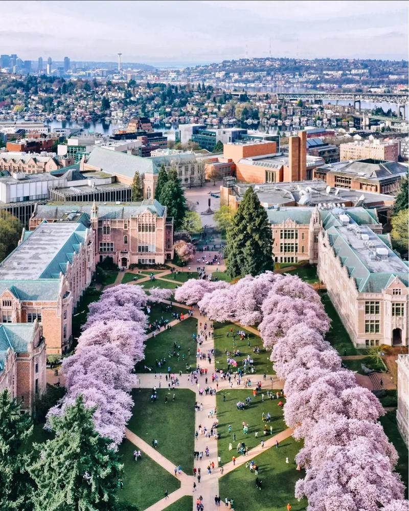 南佛罗里达大学